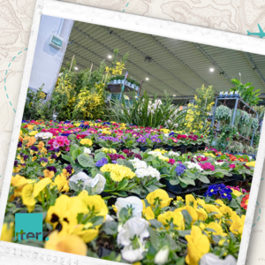 Videm in Pordenone cvetlični sejem