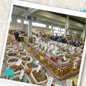 Internetna stran galerija potovanja 21